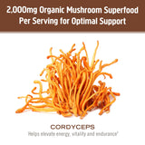 OM MUSHROOM batido con cordyceps, beneficio energía natural para entrenar