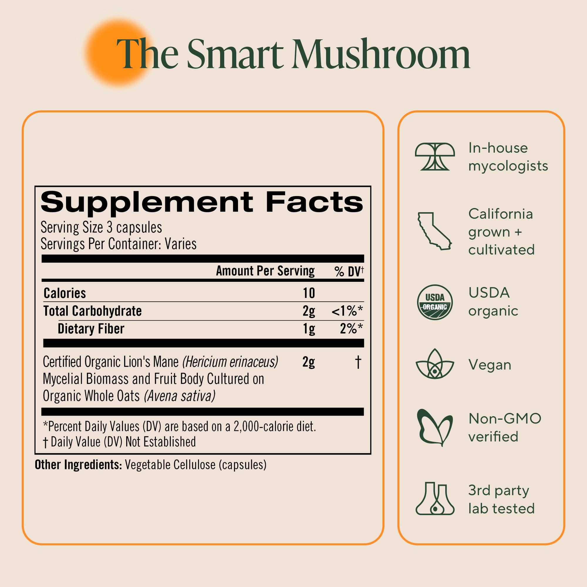 OM MUSHROOM SUPERFOOD cápsulas sobre escritorio, apoyo práctico para estudio