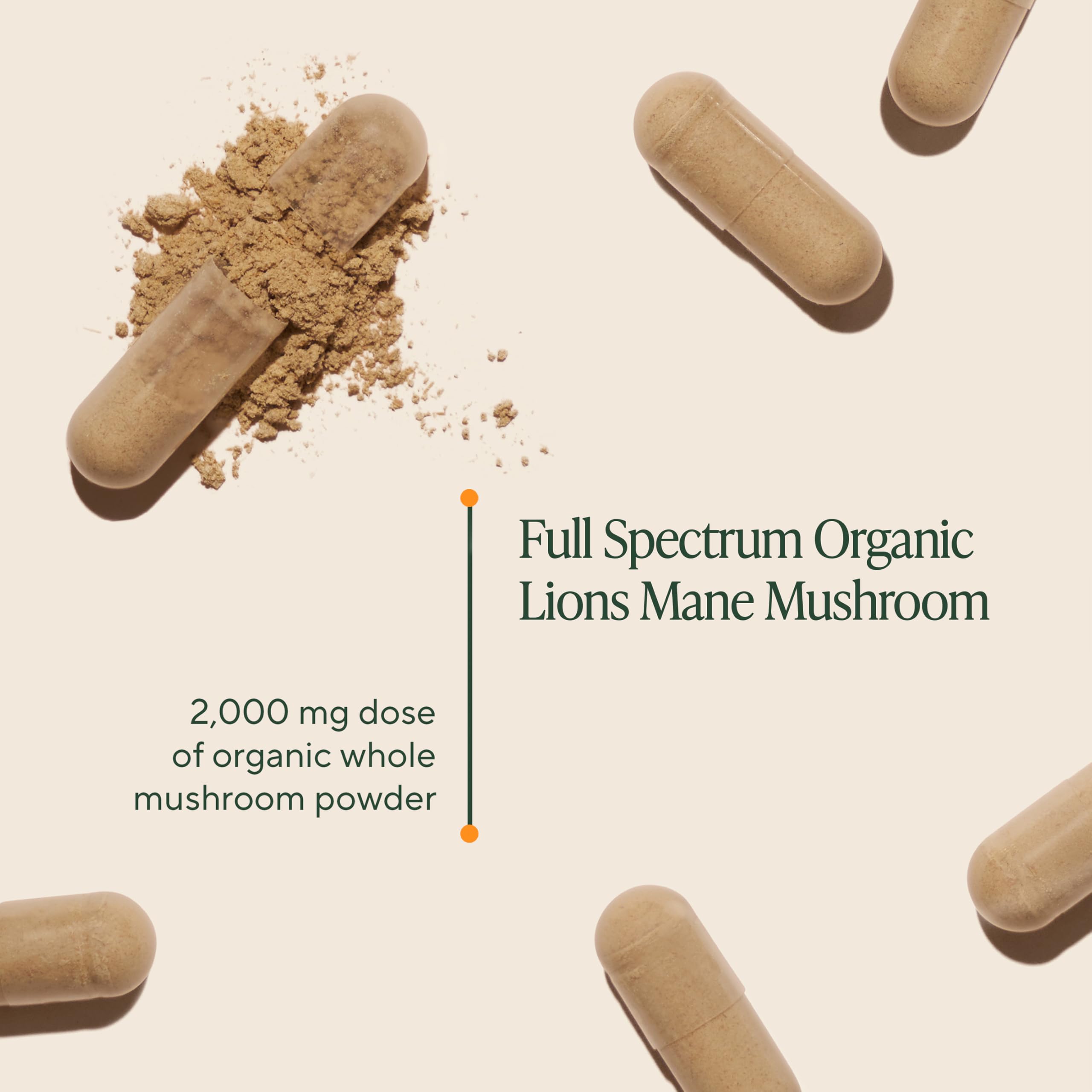 OM MUSHROOM SUPERFOOD cápsulas detalle de textura que facilita la ingestión