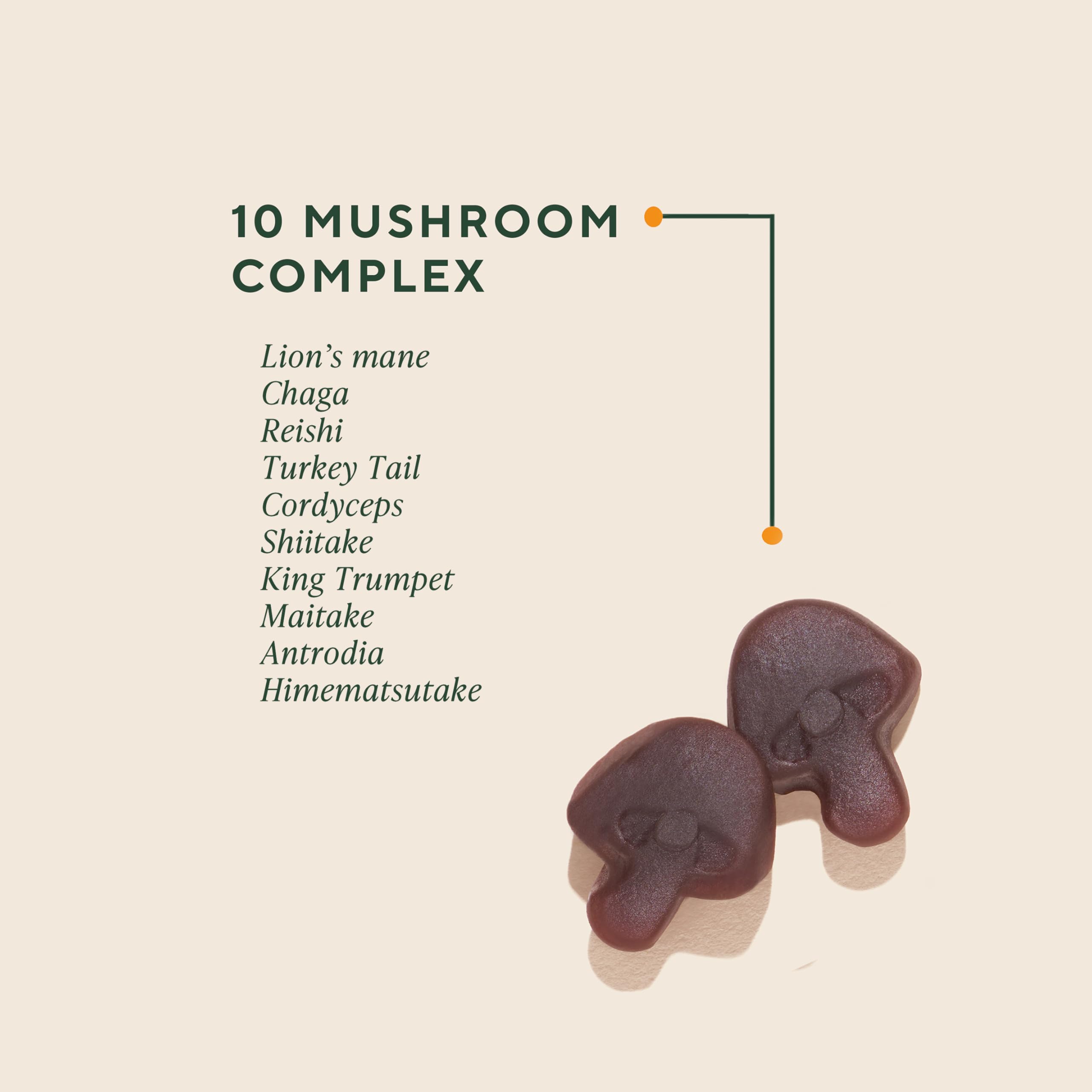 OM MUSHROOM SUPERFOOD frasco abierto con gomitas listo para uso diario