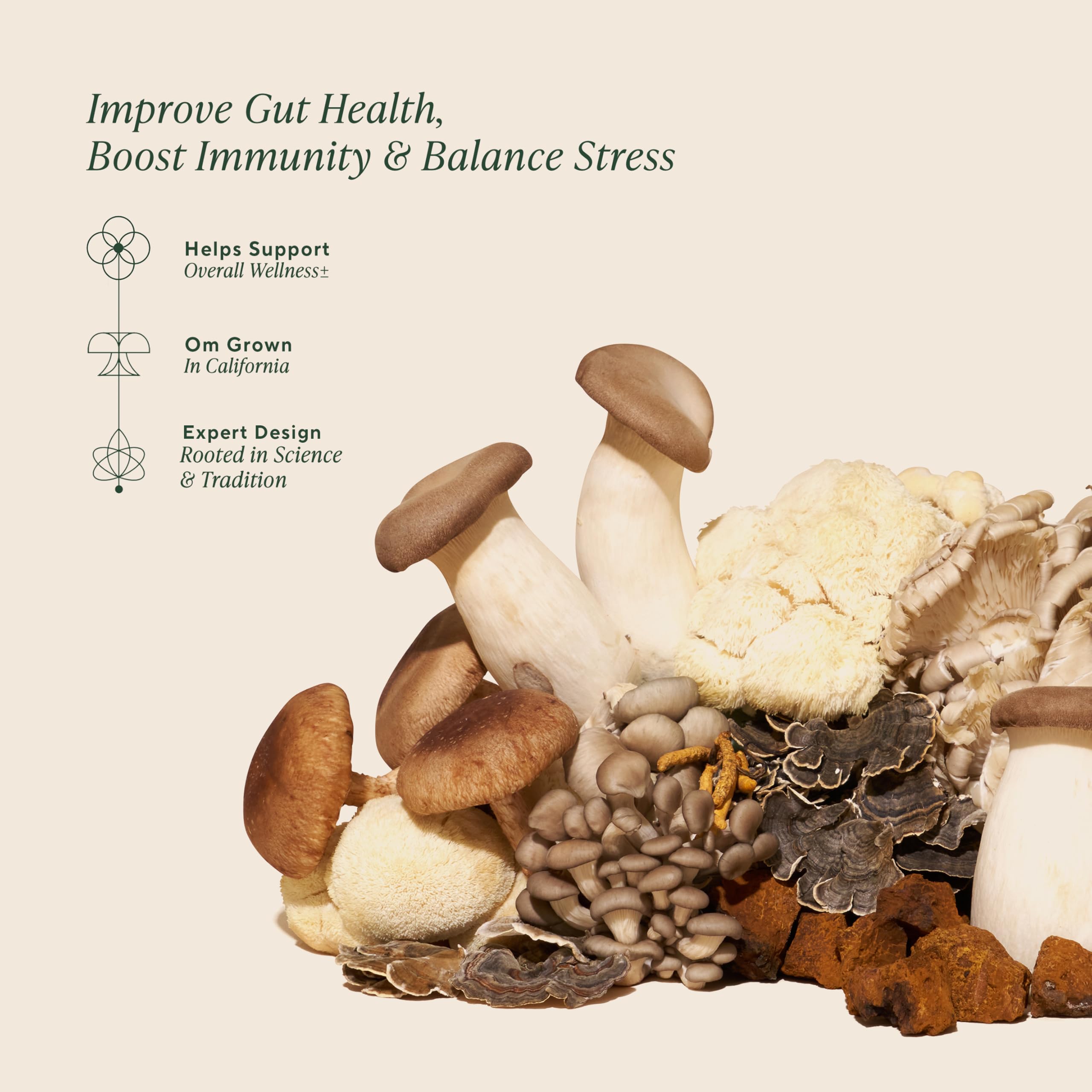 OM MUSHROOM SUPERFOOD disposición de los 10 hongos mostrando variedad funcional