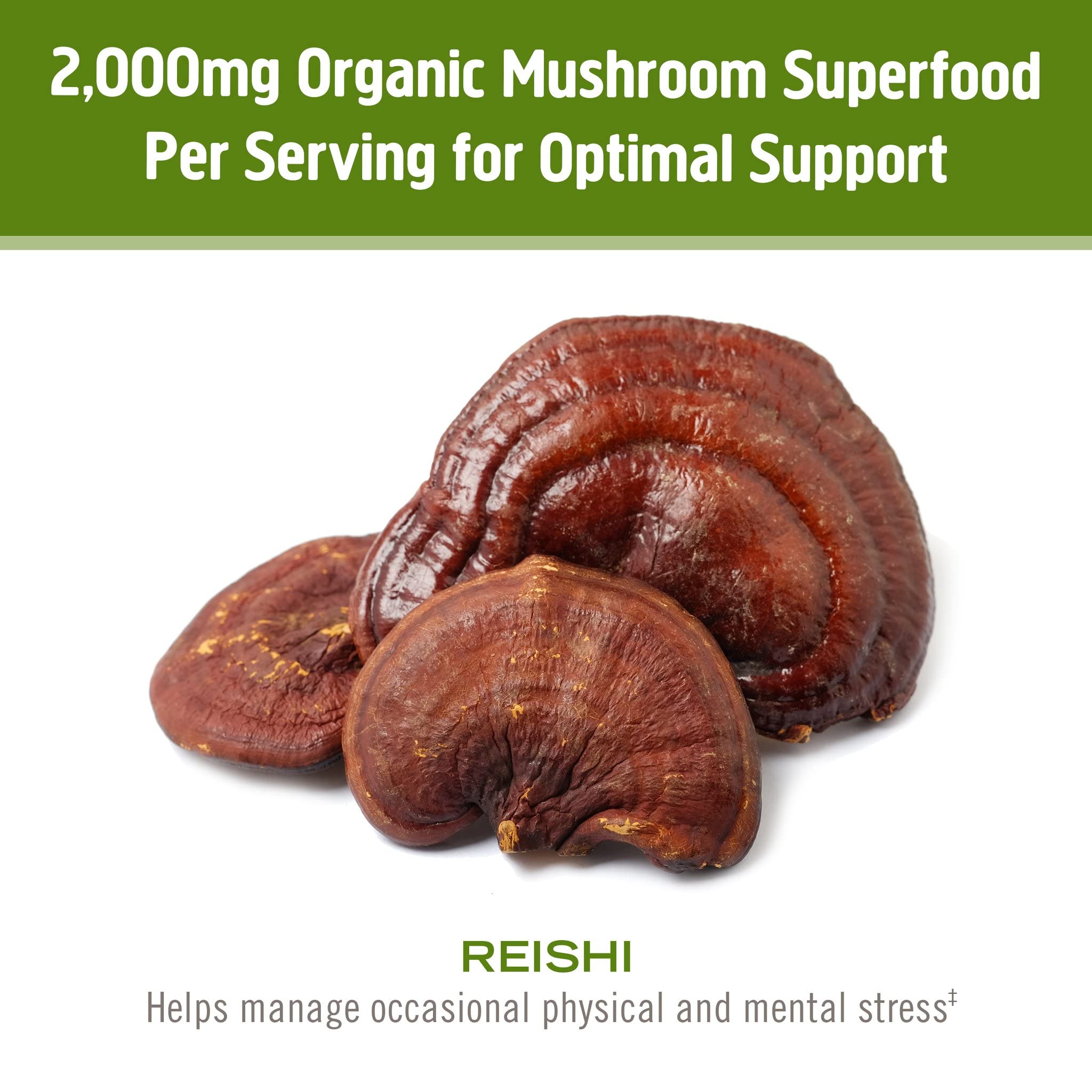 OM MUSHROOM SUPERFOOD polvo añadido a un café para relajación