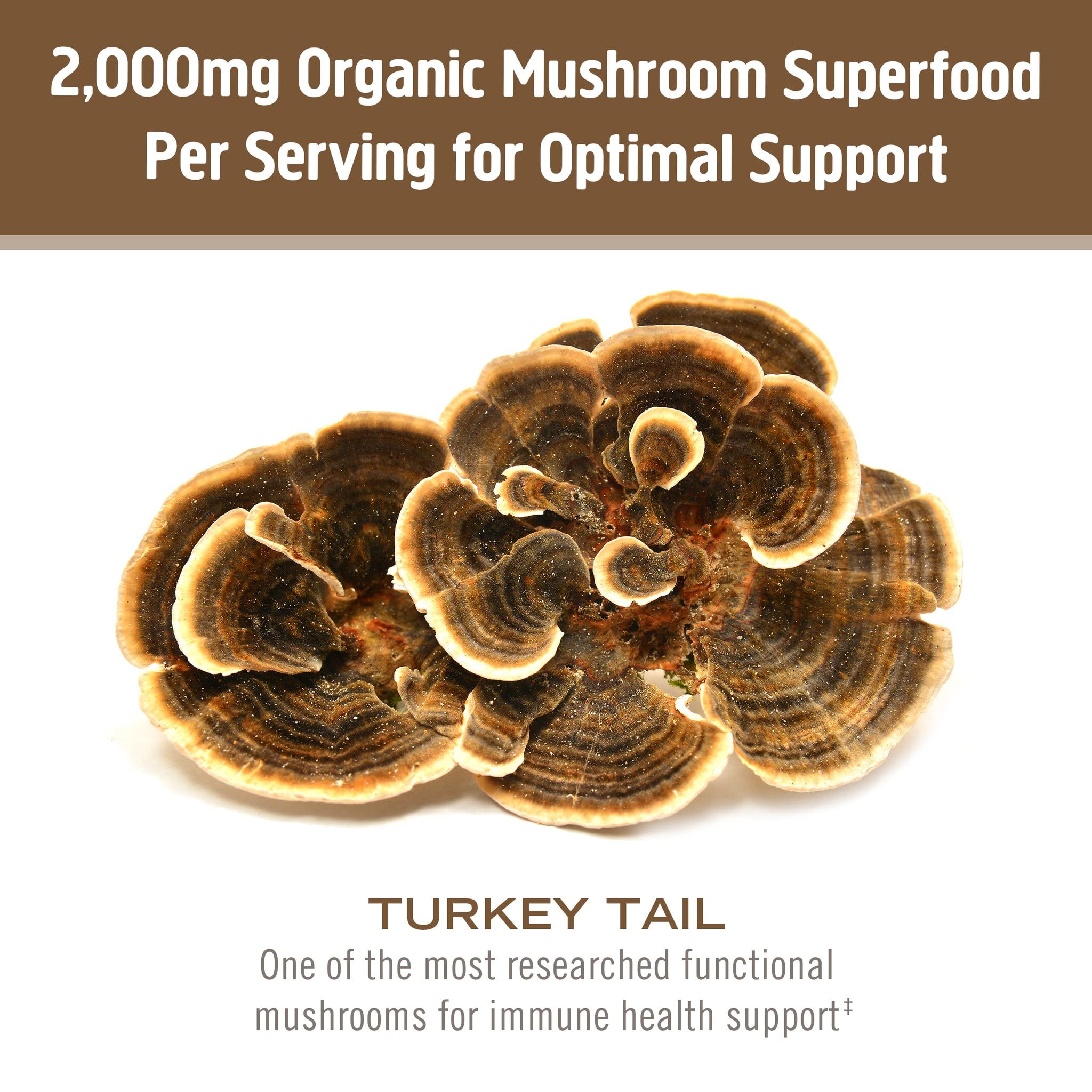 OM MUSHROOM SUPERFOOD polvo mezclado en batido para integración diaria