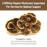 OM MUSHROOM SUPERFOOD polvo mezclado en batido para integración diaria