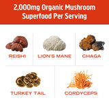 OM MUSHROOM SUPERFOOD bebida en taza caliente promoviendo energía suave