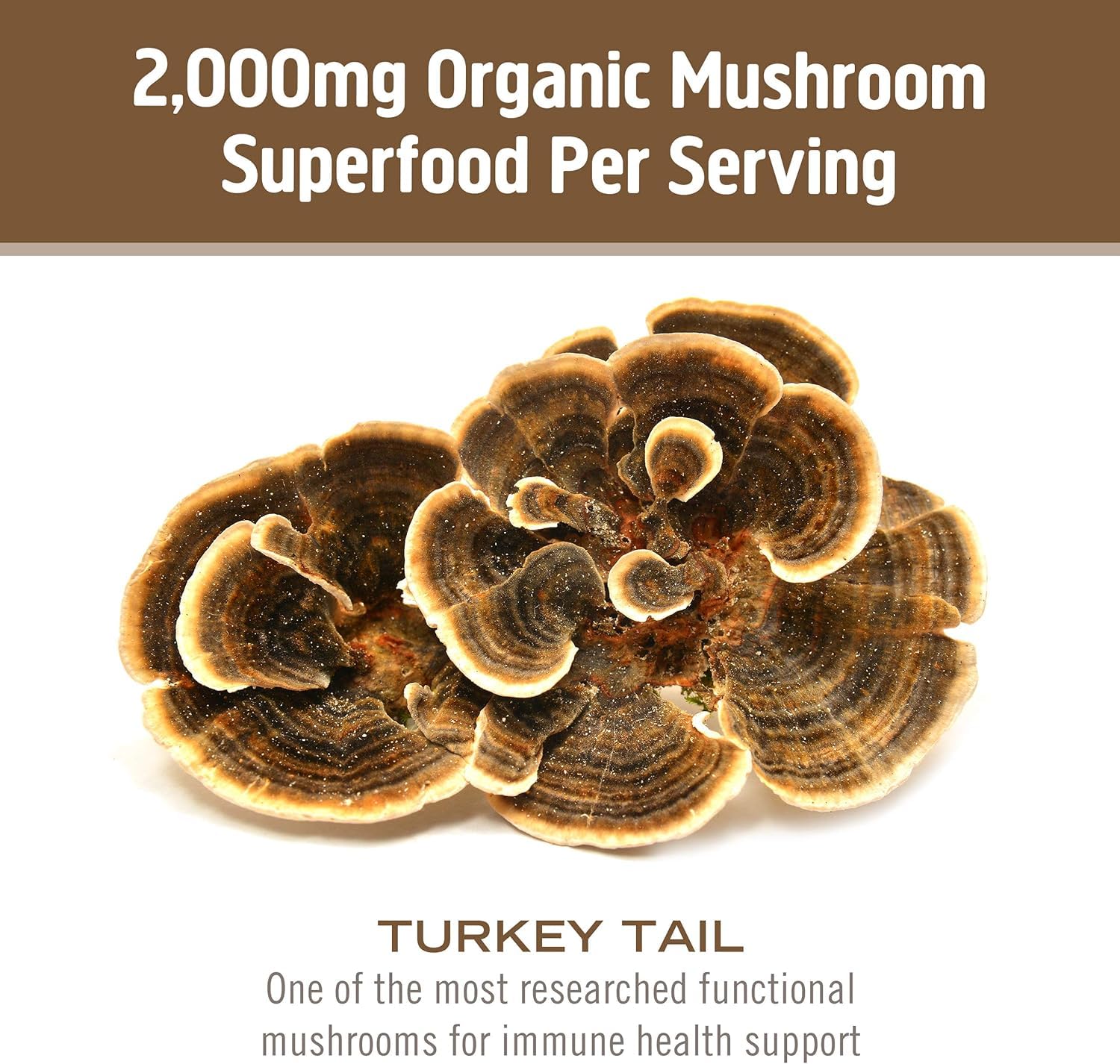OM MUSHROOM SUPERFOOD comparado con moneda para ilustrar tamaño real del envase