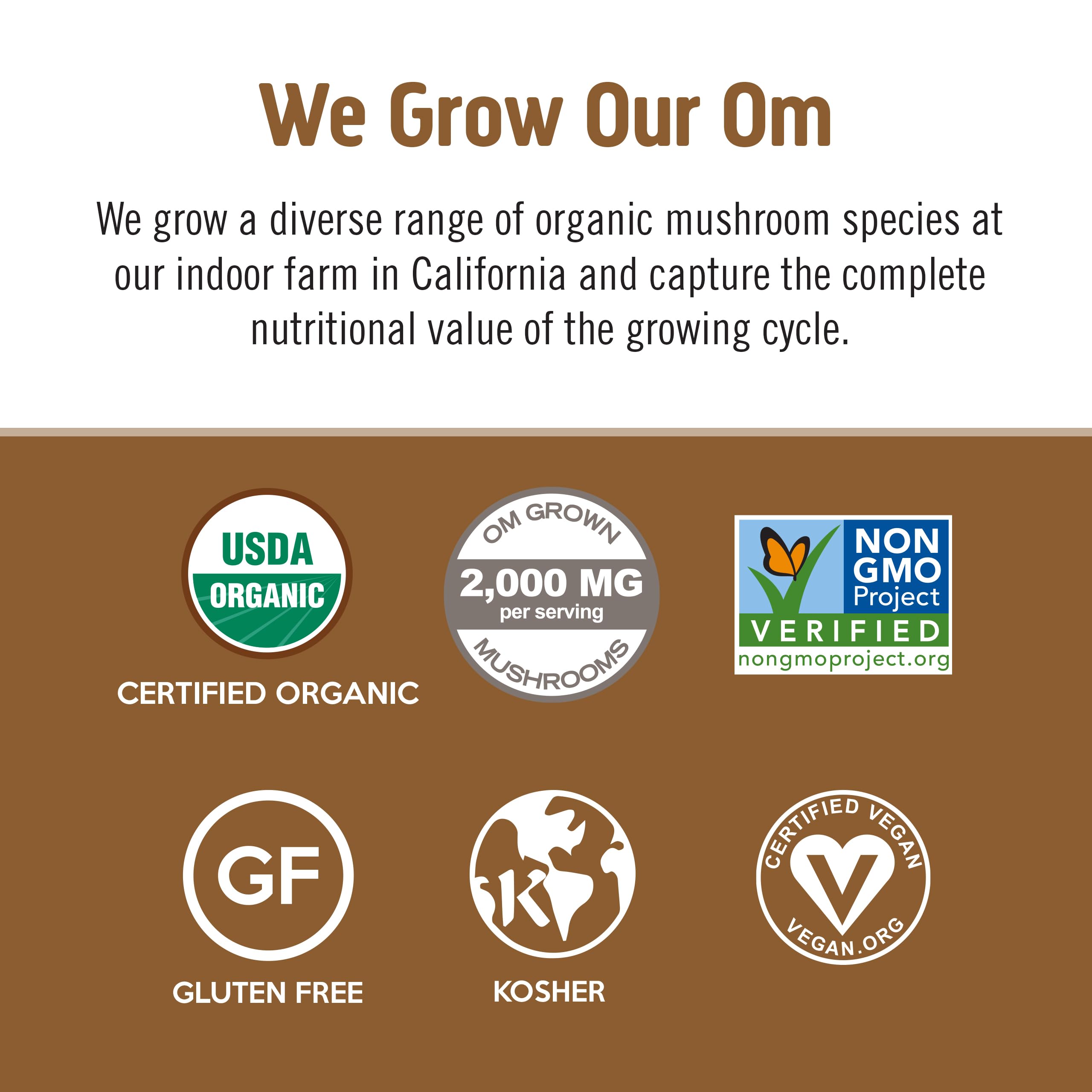 OM MUSHROOM SUPERFOOD mezcla de hongos y granos de café como ingredientes visibles