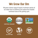 OM MUSHROOM SUPERFOOD mezcla de hongos y granos de café como ingredientes visibles