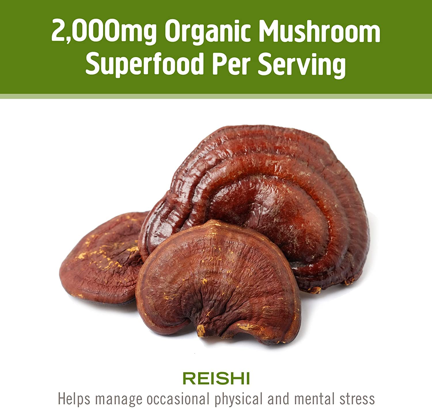 OM MUSHROOM SUPERFOOD detalle de polvo micronizado que resalta absorción y uniformidad