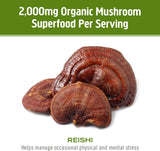 OM MUSHROOM SUPERFOOD detalle de polvo micronizado que resalta absorción y uniformidad