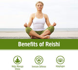 OM MUSHROOM SUPERFOOD polvo de Reishi en cuchara destacando textura y pureza