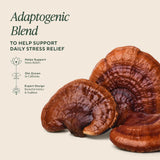 OM MUSHROOM SUPERFOOD polvo de micelio y frutos, muestra origen orgánico