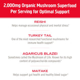 OM MUSHROOM SUPERFOOD close-up de Turkey Tail ilustrando soporte de cepas variadas