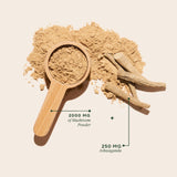 OM MUSHROOMS polvo Master Blend mezclado en café caliente para energía diaria
