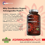 OmniBiotics etiqueta con ingredientes y dosis para ver información clara