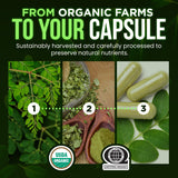 OmniBiotics etiqueta con ingredientes orgánicos y certificado USDA