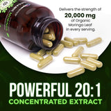 OmniBiotics polvo de moringa cerca, muestra concentración y pureza