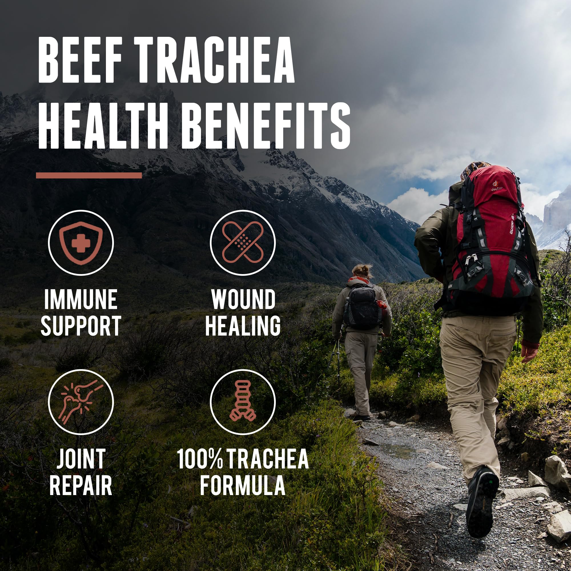 One Earth Health primer plano de textura de cartílago que destaca pureza del ingrediente