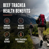 One Earth Health primer plano de textura de cartílago que destaca pureza del ingrediente