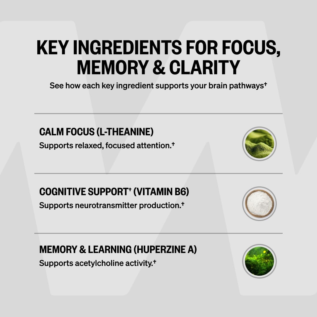 ONNIT Alpha Brain cápsula junto a laptop representando uso en oficina