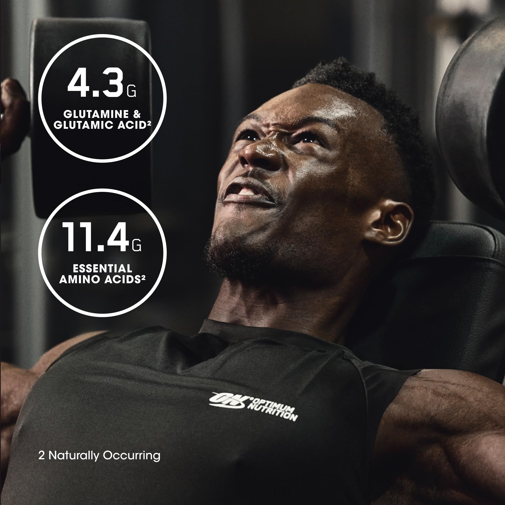 Comparación de tamaño de Envase Optimum Nutrition 3 lb con otros objetos para escala clara