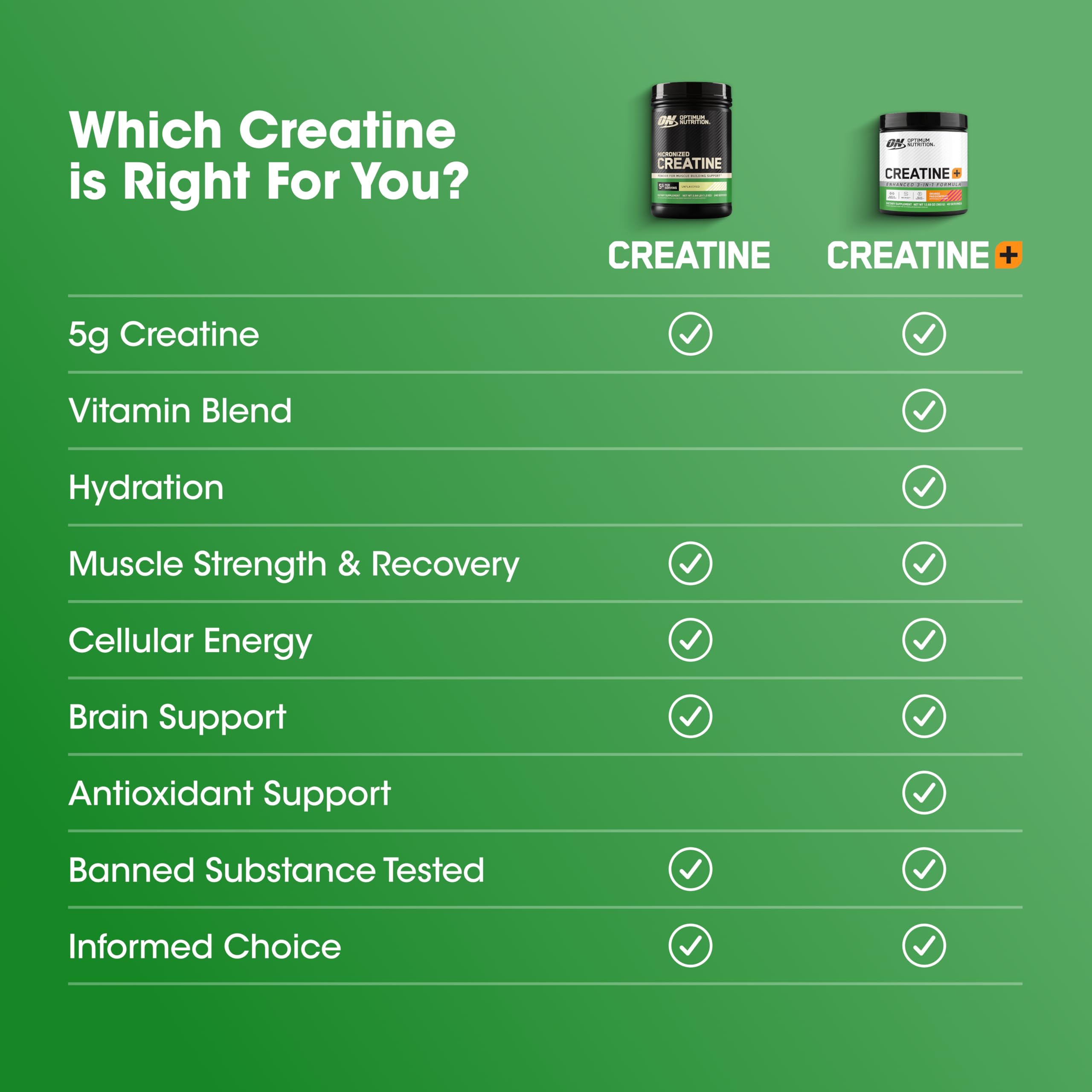 Optimum Nutrition envase con indicación 240 servicios, ahorro y durabilidad