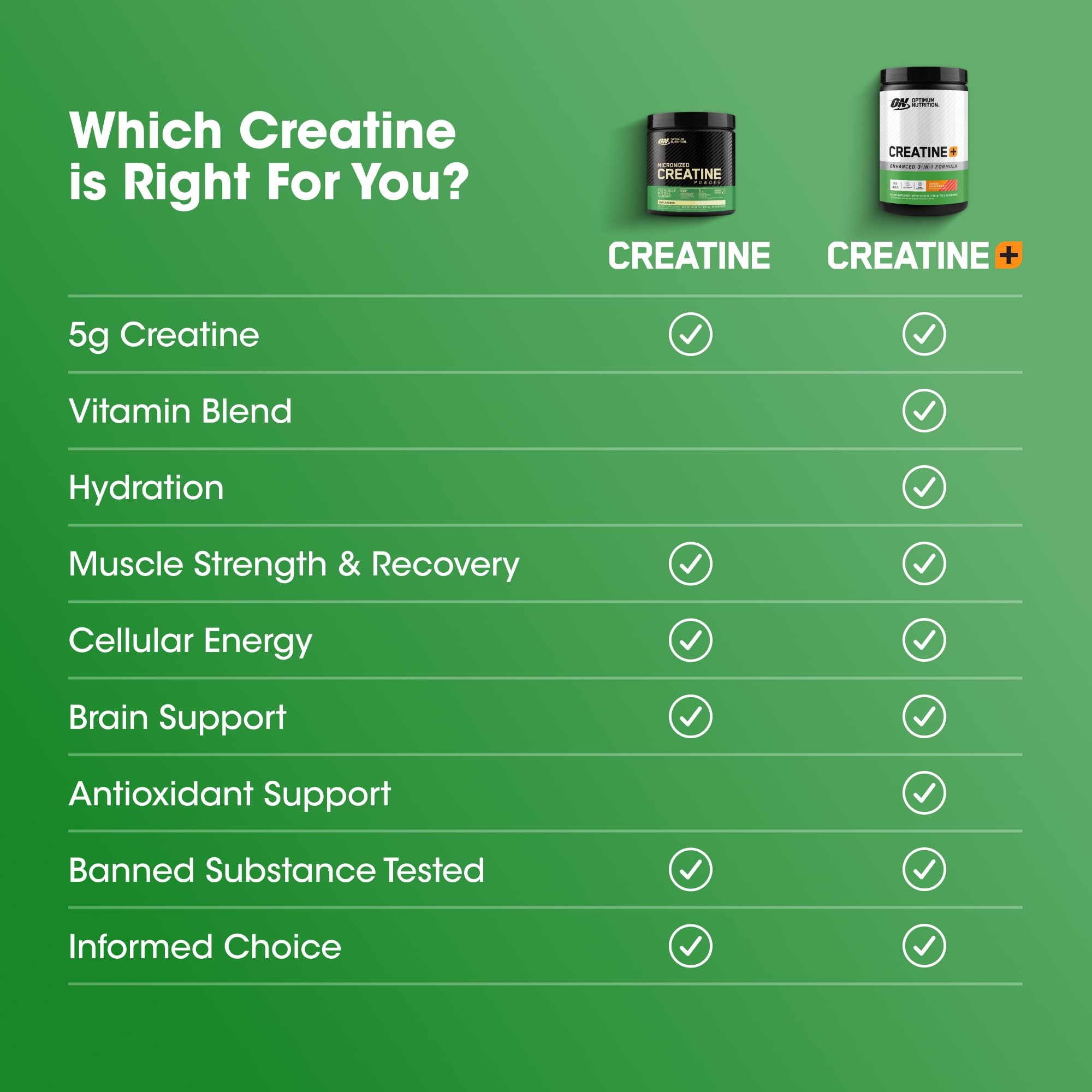 Optimum Nutrition envase de 720 g junto a una mano para comparar tamaño