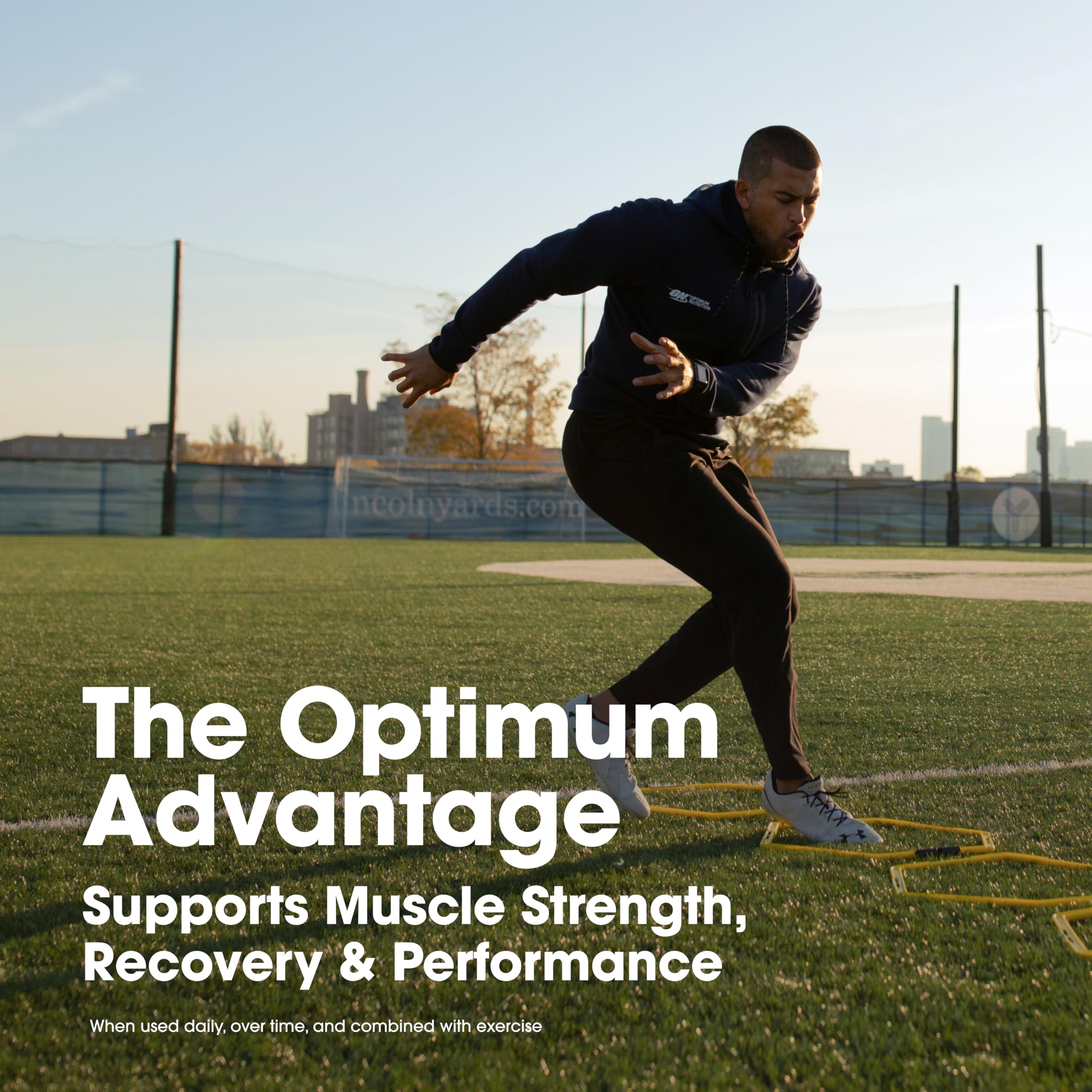 Optimum Nutrition detalle de textura y brillo, aspecto apetecible y consistente