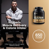 Optimum Nutrition uso en gimnasio post-entreno para reponer energía eficientemente