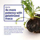 Ora Organic cordyceps y raíz resaltando origen vegetal y soporte vitalidad