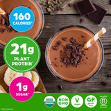 Disposición de superalimentos orgánicos usados por Orgain, ilustrando variedad y aporte nutritivo