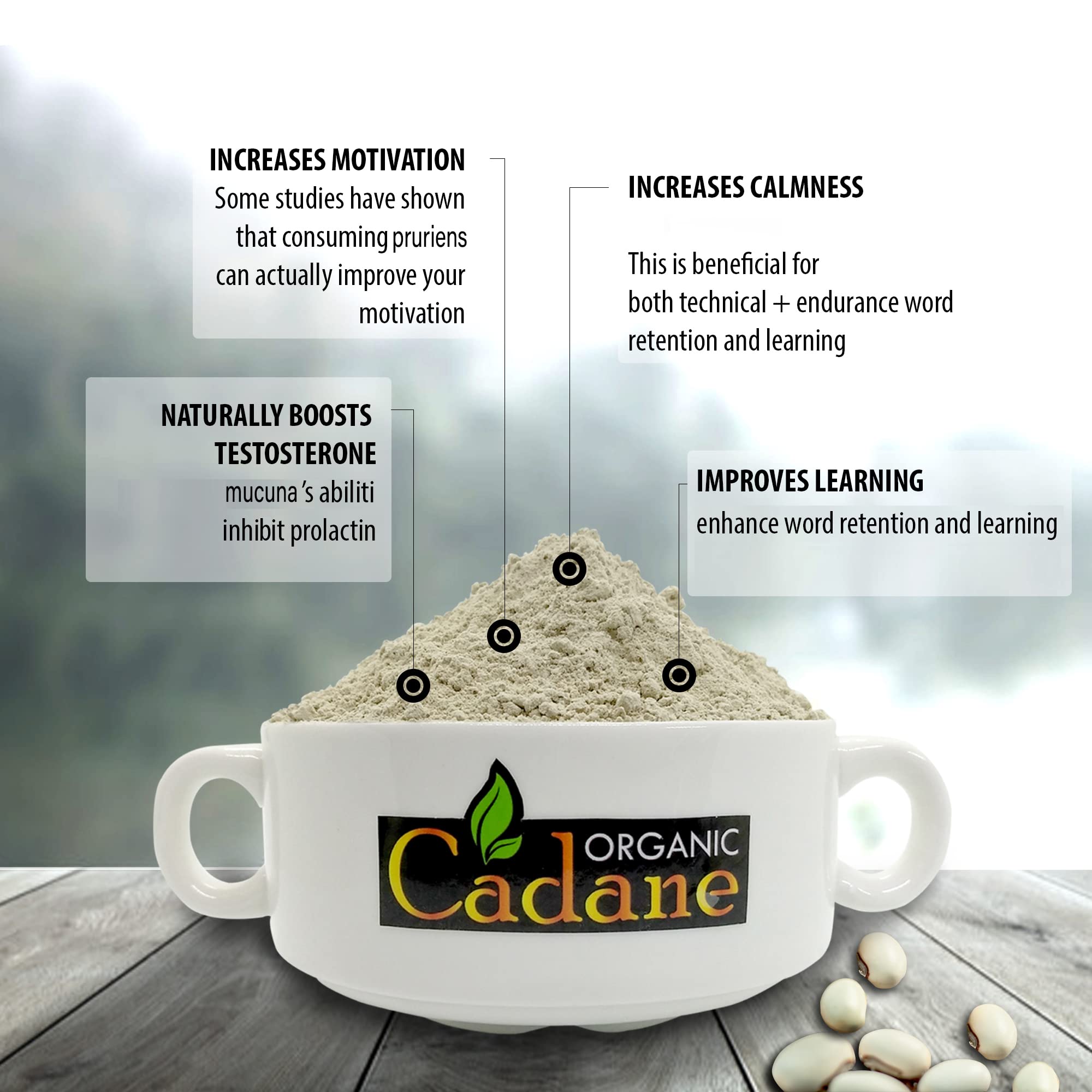 Cuchara medidora con Mucuna Pruriens Organic Cadane lista para dosificar fácilmente
