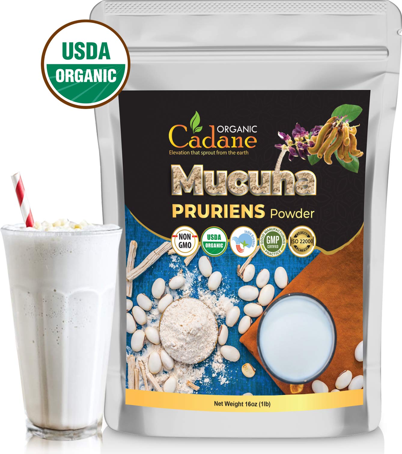 Comparación de tamaño del envase Organic Cadane Mucuna Pruriens para referencia