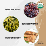 Organic Earth ilustración de la costa de donde procede el musgo marino