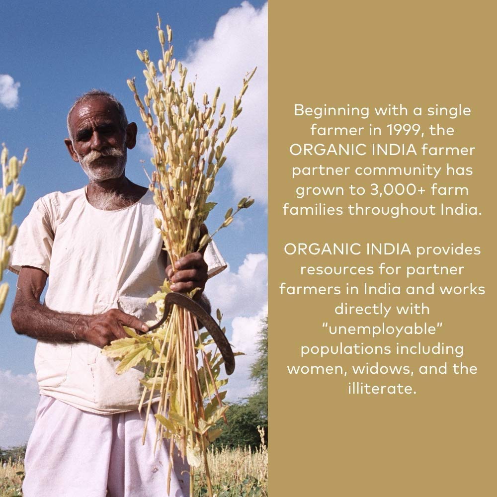 Cuchara medidora con porción de Amla Powder ORGANIC INDIA para uso diario