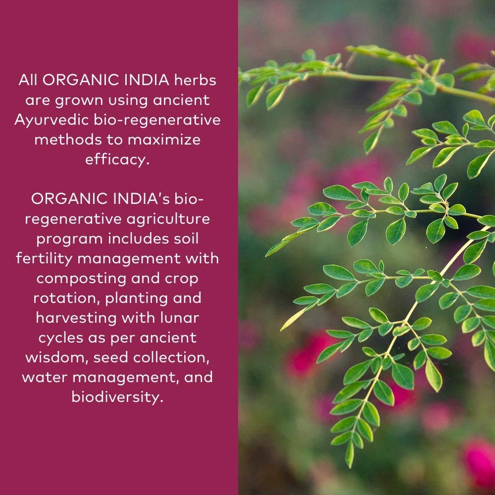 ORGANIC INDIA polvo mezclado en smoothie, aporta energía balanceada