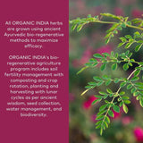 ORGANIC INDIA polvo mezclado en smoothie, aporta energía balanceada