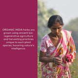 ORGANIC INDIA cucharada con polvo, muestra dosis personalizable