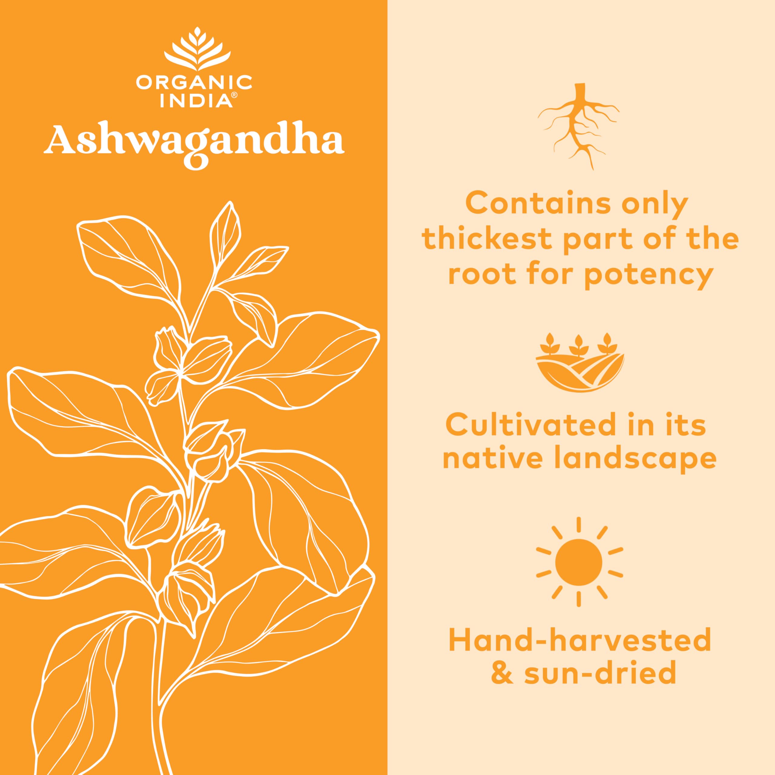 ORGANIC INDIA persona tomando cápsula integrándola en rutina diaria