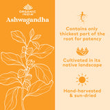 ORGANIC INDIA persona tomando cápsula integrándola en rutina diaria