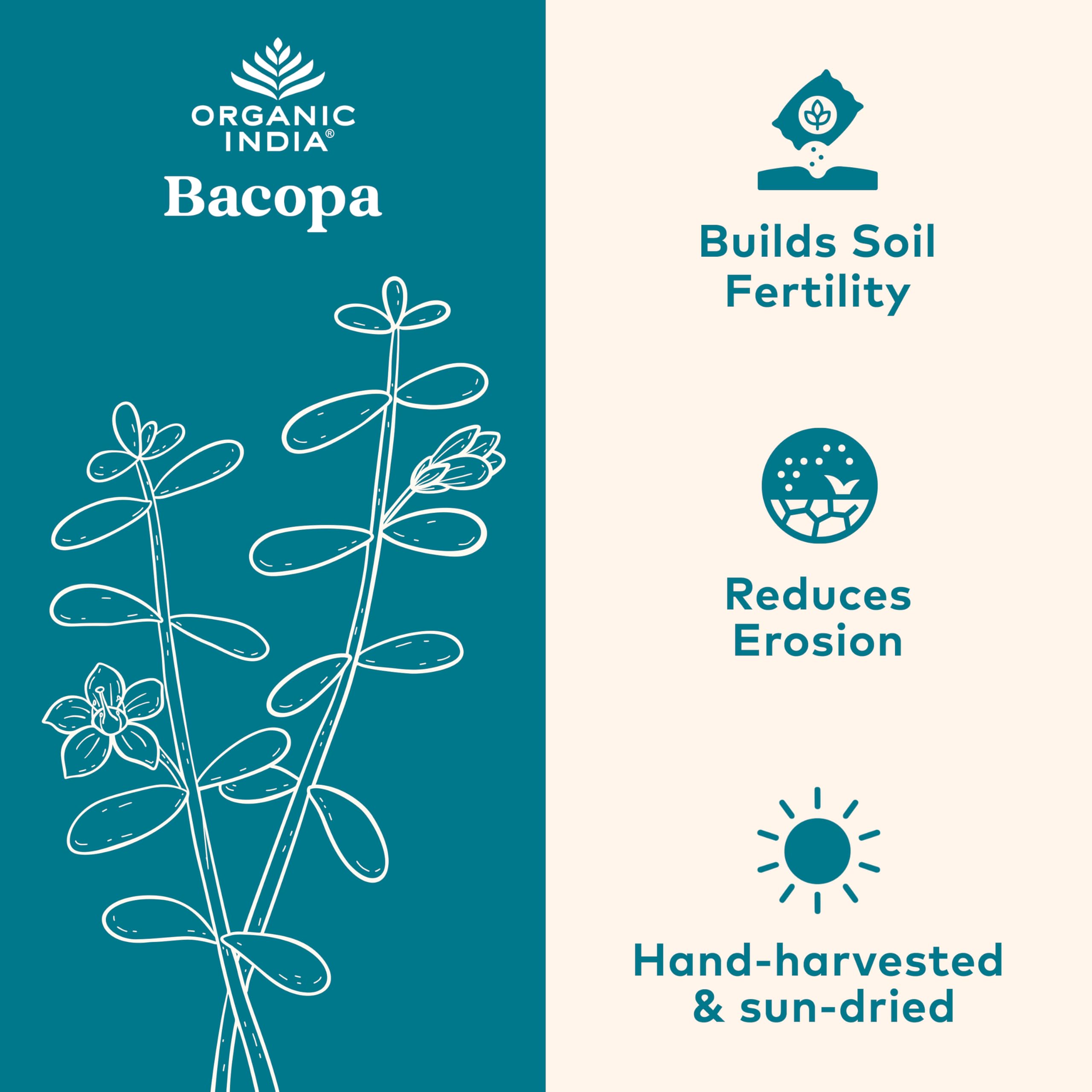 ORGANIC INDIA cultivos en finca regenerativa que garantizan abastecimiento ético