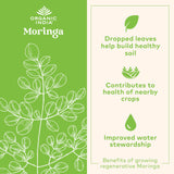 ORGANIC INDIA cápsula en mano para visualizar tamaño y facilidad de uso