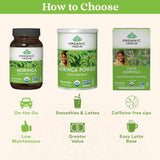 ORGANIC INDIA cucharada de moringa para comparar tamaño y dosificación práctica