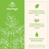 ORGANIC INDIA polvo de moringa espolvoreado sobre ensalada para añadir fibra
