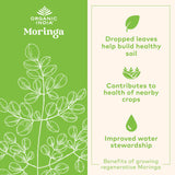 ORGANIC INDIA hojas secas de moringa cerca que resaltan origen natural