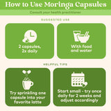 ORGANIC INDIA polvo de moringa en cuchara mostrando textura pura