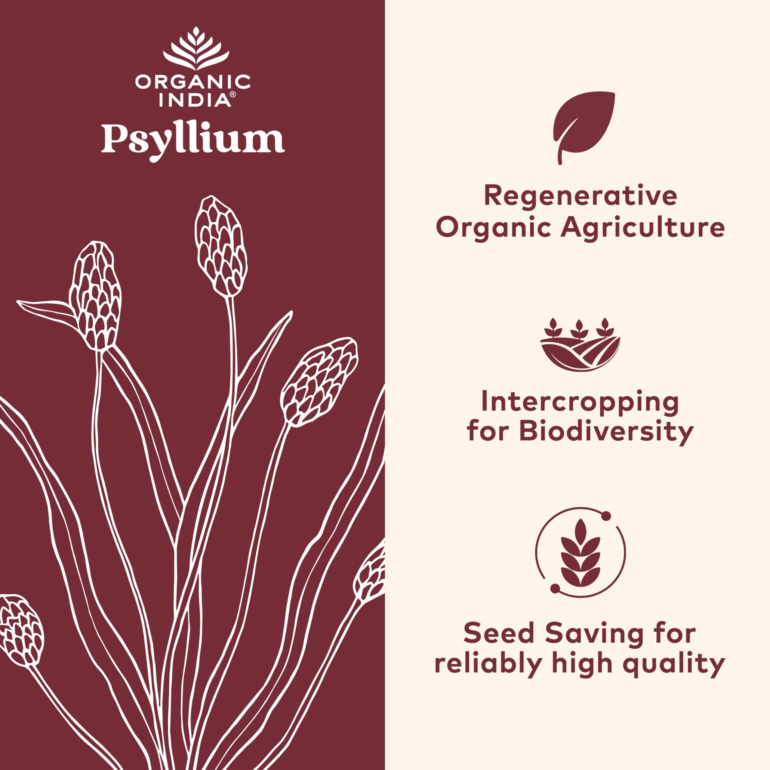 ORGANIC INDIA cápsula sobre la palma para comparar tamaño y facilitar dosificación
