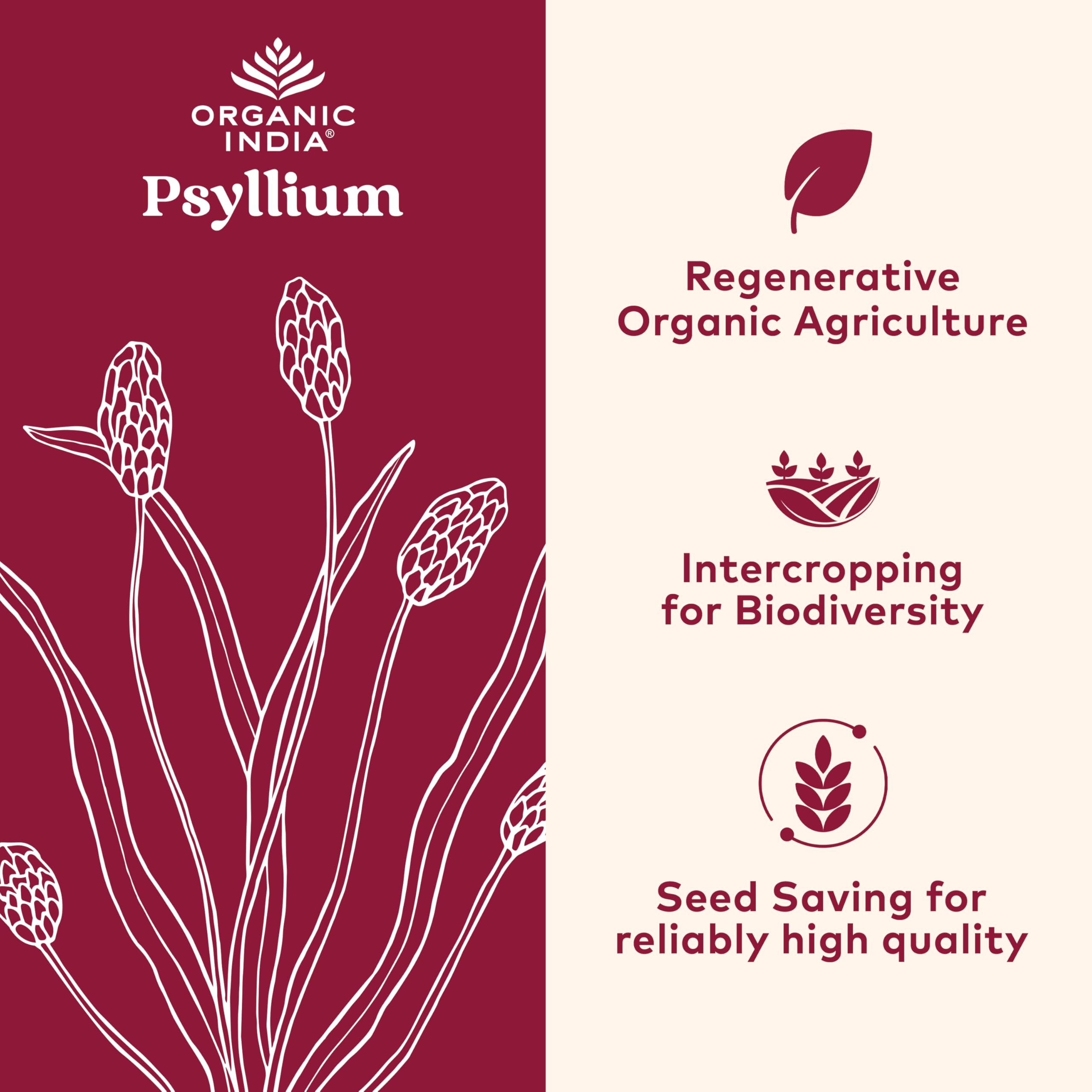 ORGANIC INDIA primer plano de textura fina que facilita la mezcla