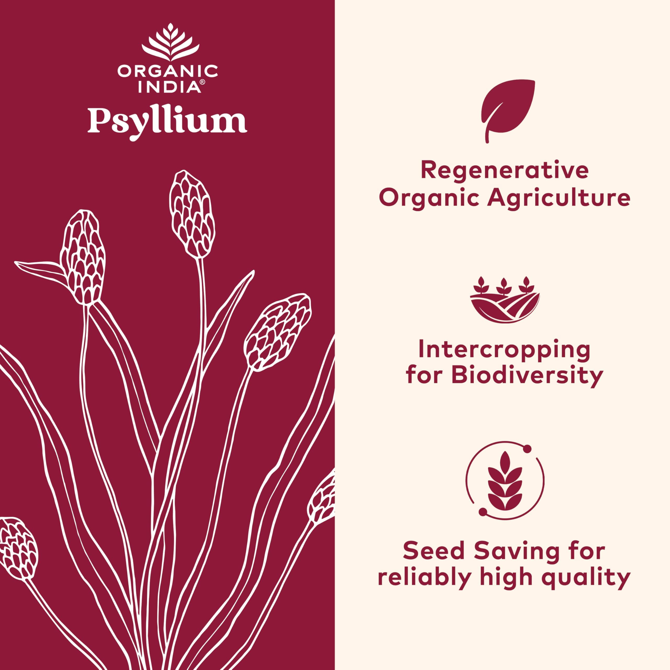 Detalle de textura fina del psyllium ORGANIC INDIA mostrando fácil disolución