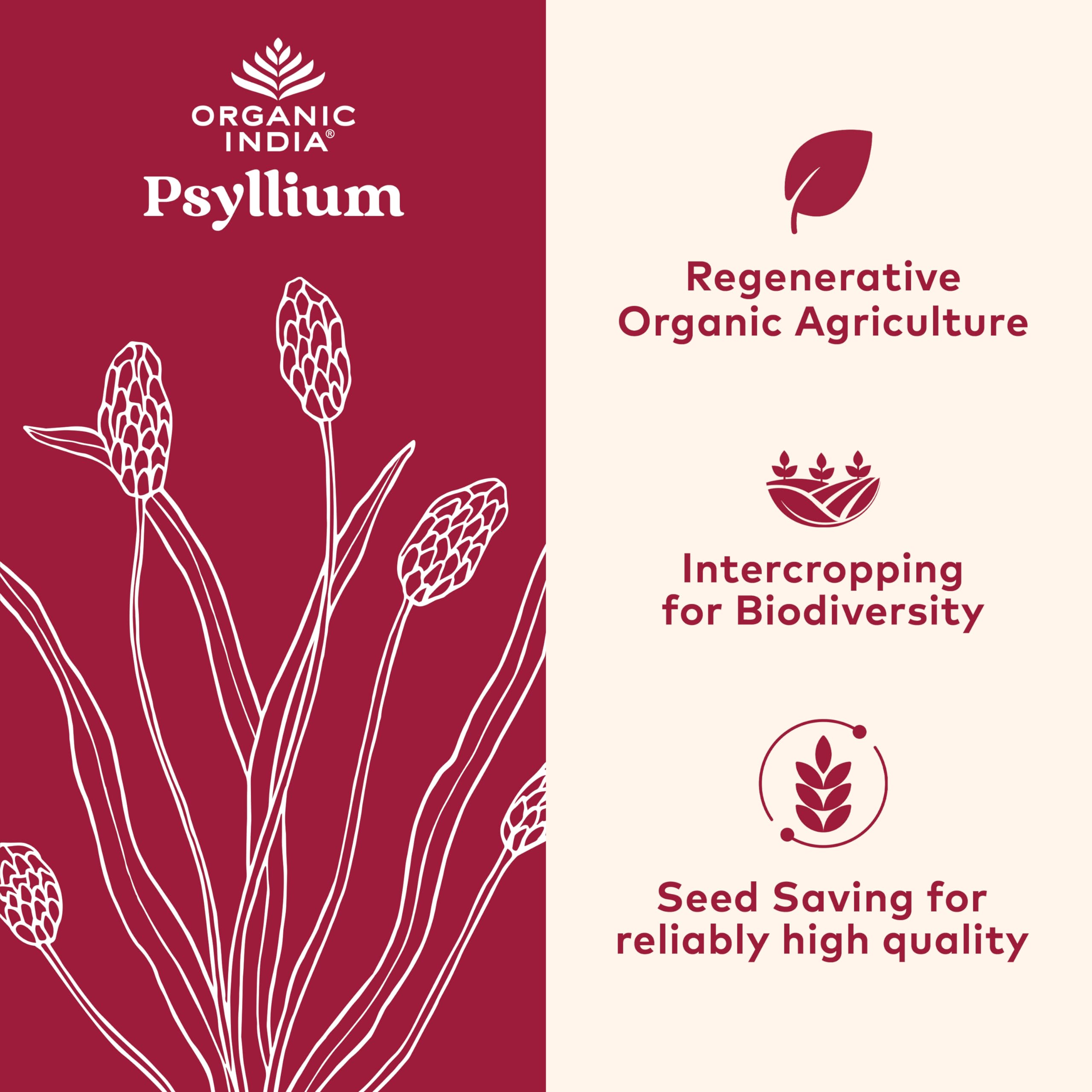 ORGANIC INDIA textura fina del polvo de psyllium para mezclar fácilmente